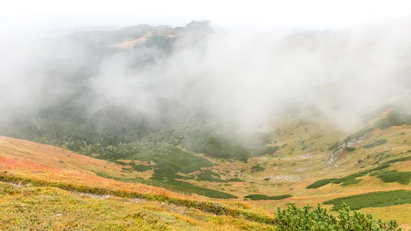 Tatra-Gebirge in der Slowakei mit Wolken bedeckt — Stockfoto