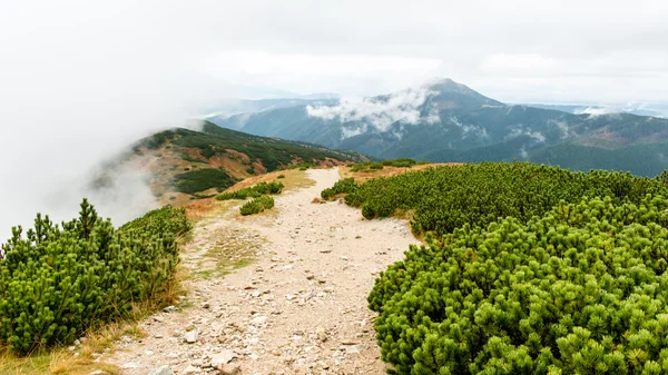 Slovakya'daki Tatra Dağları bulutları ile örtülü