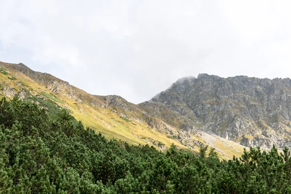 Montañas Tatra en Eslovaquia cubiertas de nubes — Foto de Stock