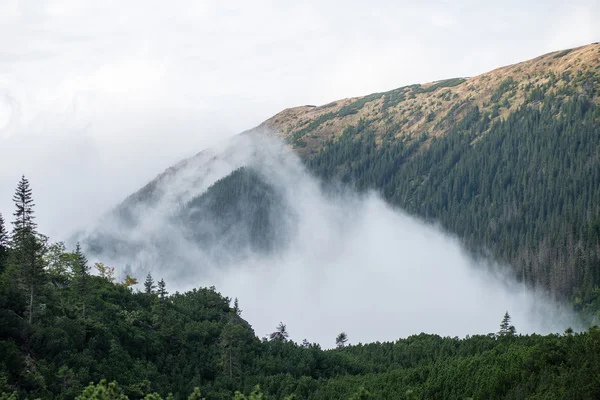 Tatra-Gebirge in der Slowakei mit Wolken bedeckt — Stockfoto