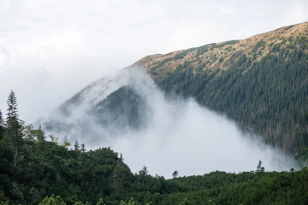Slovakya'daki Tatra Dağları bulutları ile örtülü