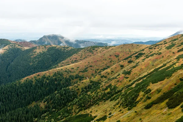 Slovakya'daki Tatra Dağları bulutları ile örtülü