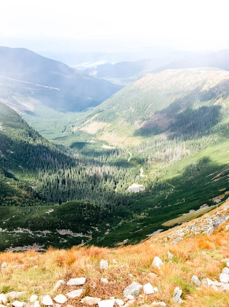 Slovakya'daki Tatra Dağları bulutları ile örtülü — Stok fotoğraf