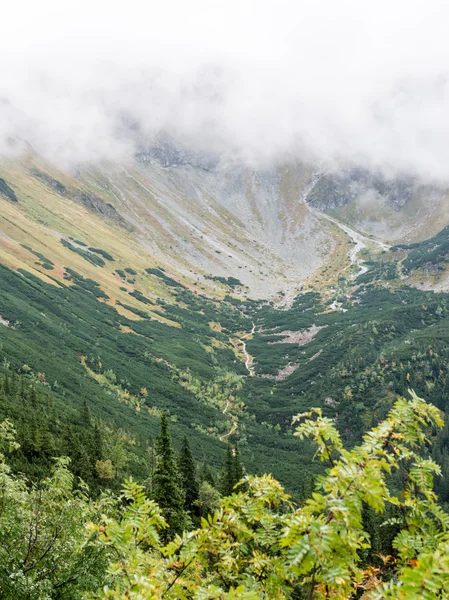 Slovakya'daki Tatra Dağları bulutları ile örtülü