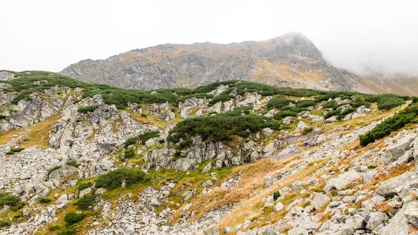 Tatra-Gebirge in der Slowakei mit Wolken bedeckt — Stockfoto