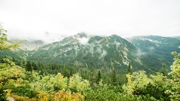 Floresta montanhosa de Tatra na Eslováquia coberta de nuvens — Fotografia de Stock