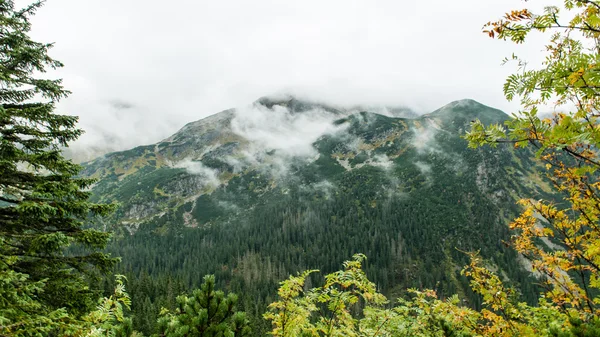 Slovakya'daki Tatra dağ orman bulutları ile örtülü — Stok fotoğraf