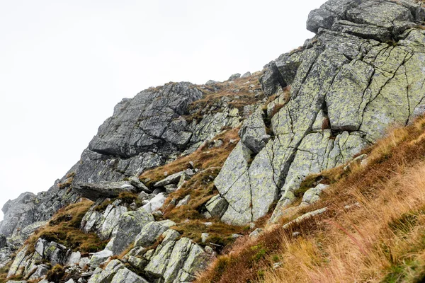 Slovakya'daki Tatra Dağları bulutları ile örtülü
