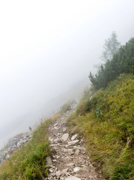Slovakya'daki Tatra Dağları bulutları ile örtülü