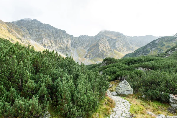 Tatra gebergte in Slowakije bedekt met wolken — Stockfoto