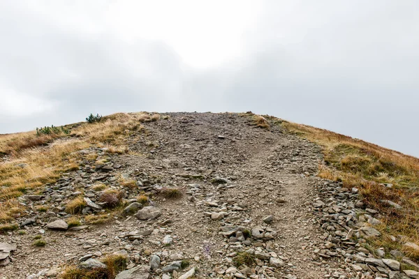 Slovakya'daki Tatra Dağları bulutları ile örtülü