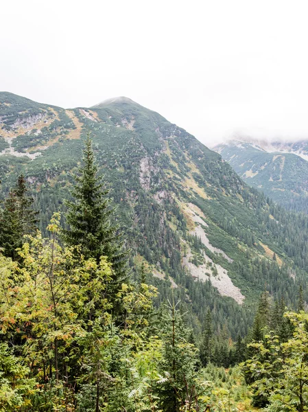 Slovakya'daki Tatra Dağları bulutları ile örtülü