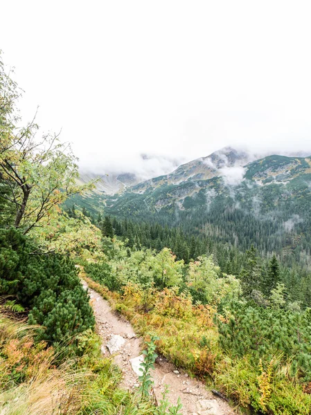 Montanhas Tatra na Eslováquia cobertas de nuvens — Fotografia de Stock