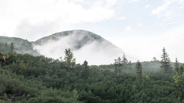 Slovakya'daki Tatra Dağları bulutları ile örtülü