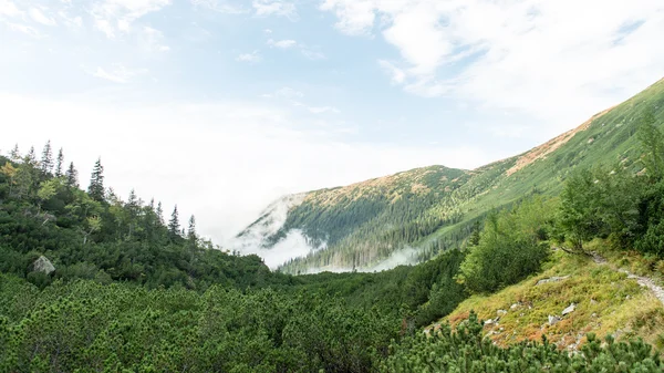 Slovakya'daki Tatra Dağları bulutları ile örtülü