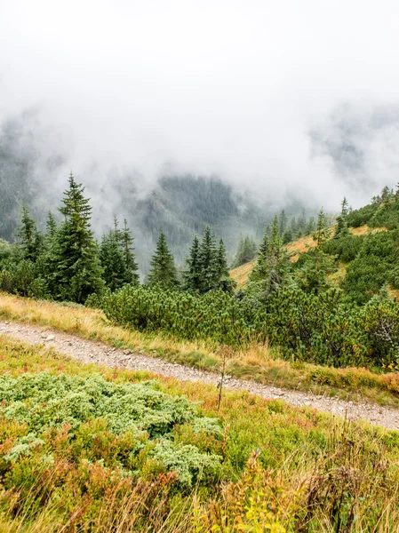 Slovakya'daki Tatra Dağları bulutları ile örtülü