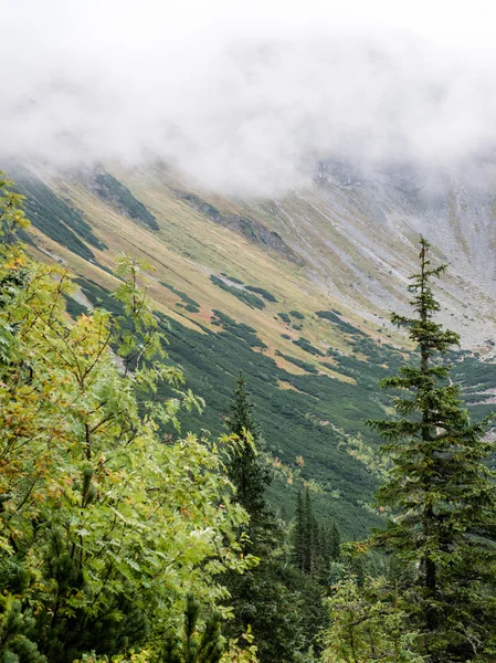 Slovakya'daki Tatra Dağları bulutları ile örtülü