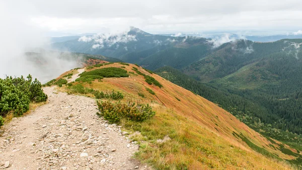 Slovakya'daki Tatra Dağları bulutları ile örtülü