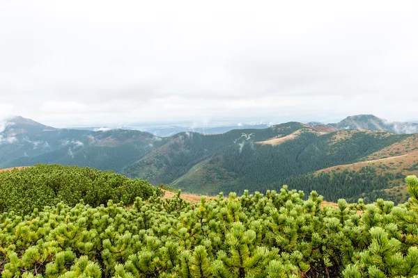 Slovakya'daki Tatra Dağları bulutları ile örtülü