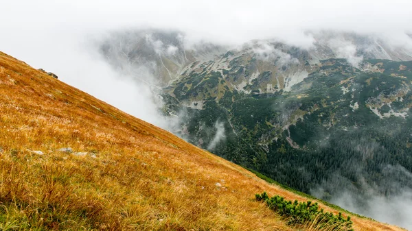 Slovakya'daki Tatra Dağları bulutları ile örtülü