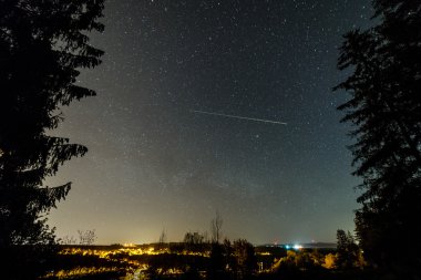Güzel Samanyolu galaksisinin bir gece gökyüzü ve ağaç silüeti