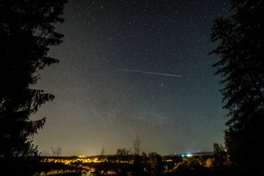 Güzel Samanyolu galaksisinin bir gece gökyüzü ve ağaç silüeti
