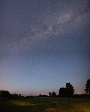 Güzel Samanyolu galaksisinin bir gece gökyüzü ve ağaç silüeti