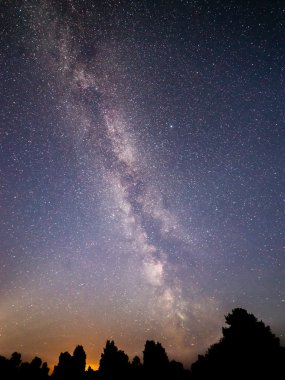 Güzel Samanyolu galaksisinin bir gece gökyüzü ve ağaç silüeti