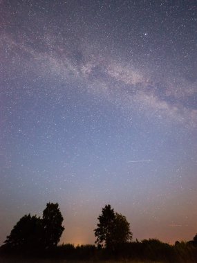 Güzel Samanyolu galaksisinin bir gece gökyüzü ve ağaç silüeti