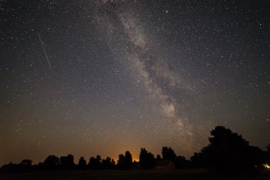 Güzel Samanyolu galaksisinin bir gece gökyüzü ve ağaç silüeti