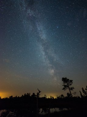 Güzel Samanyolu galaksisinin bir gece gökyüzü ve ağaç silüeti