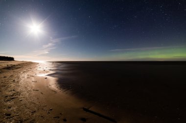 Güzel Samanyolu galaksisinin bir gece gökyüzü ve ağaç silüeti