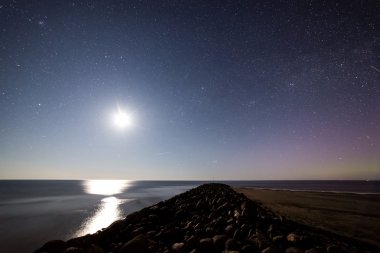 Güzel Samanyolu galaksisinin bir gece gökyüzü ve ağaç silüeti