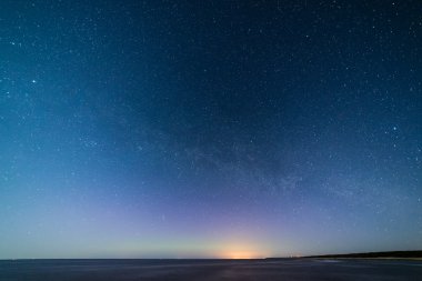 Güzel Samanyolu galaksisinin bir gece gökyüzü ve ağaç silüeti