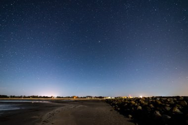 Güzel Samanyolu galaksisinin bir gece gökyüzü ve ağaç silüeti