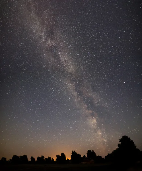 Hermosa galaxia de la Vía Láctea en un cielo nocturno y silueta de árbol — Foto de Stock