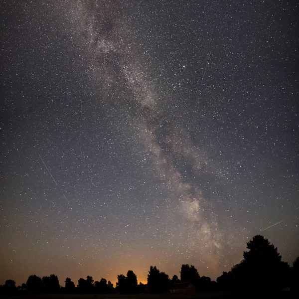 Hermosa galaxia de la Vía Láctea en un cielo nocturno y silueta de árbol — Foto de Stock