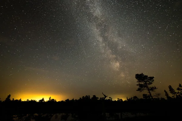 Bela galáxia de caminho leitoso em um céu noturno e silhueta de árvore — Fotografia de Stock