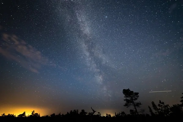 Wunderschöne Milchstraßengalaxie am Nachthimmel und Silhouette eines Baumes — Stockfoto