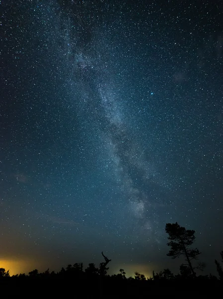 Hermosa galaxia de la Vía Láctea en un cielo nocturno y silueta de árbol — Foto de Stock