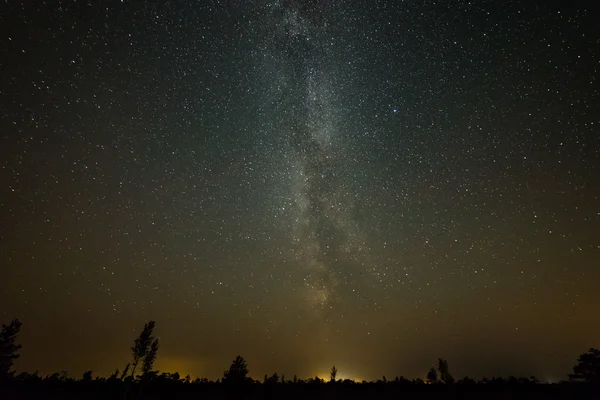 Bela galáxia de caminho leitoso em um céu noturno e silhueta de árvore — Fotografia de Stock