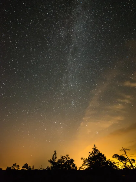 Wunderschöne Milchstraßengalaxie am Nachthimmel und Silhouette eines Baumes — Stockfoto