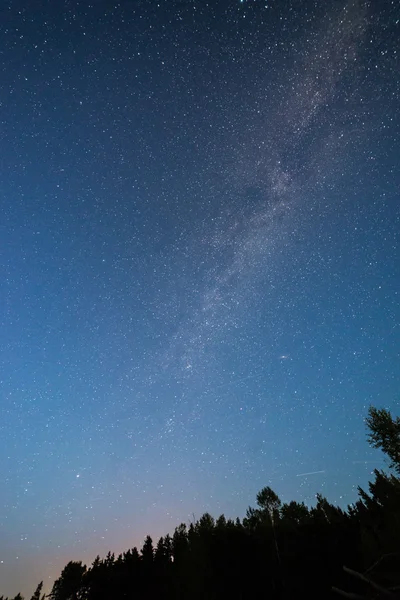Hermosa galaxia de la Vía Láctea en un cielo nocturno y silueta de árbol — Foto de Stock