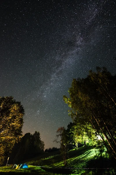 Belle galaxie de la voie lactée sur un ciel nocturne et silhouette d'arbre — Photo