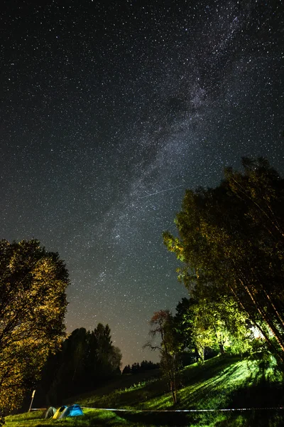 Hermosa galaxia de la Vía Láctea en un cielo nocturno y silueta de árbol — Foto de Stock