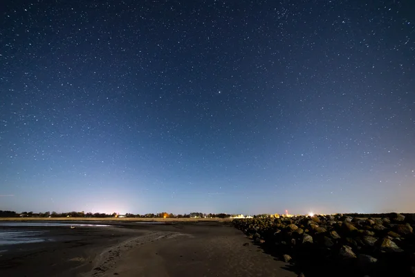 Bela galáxia de caminho leitoso em um céu noturno e silhueta de árvore — Fotografia de Stock