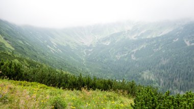 bulutlar ve sis kaplı yeşil dağ manzarası