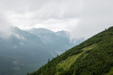 bulutlar ve sis kaplı yeşil dağ manzarası