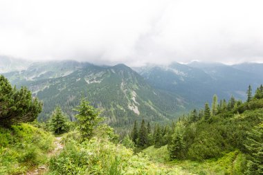 bulutlar ve sis kaplı yeşil dağ manzarası