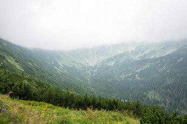 bulutlar ve sis kaplı yeşil dağ manzarası